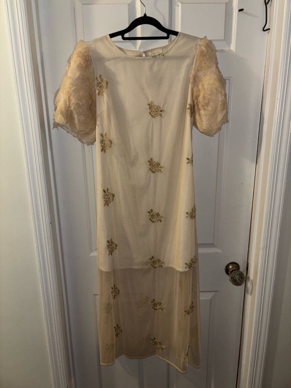 Sheer Embroidered Midi Dress in Blush with Puff Sleeves - Picture 4 of 6